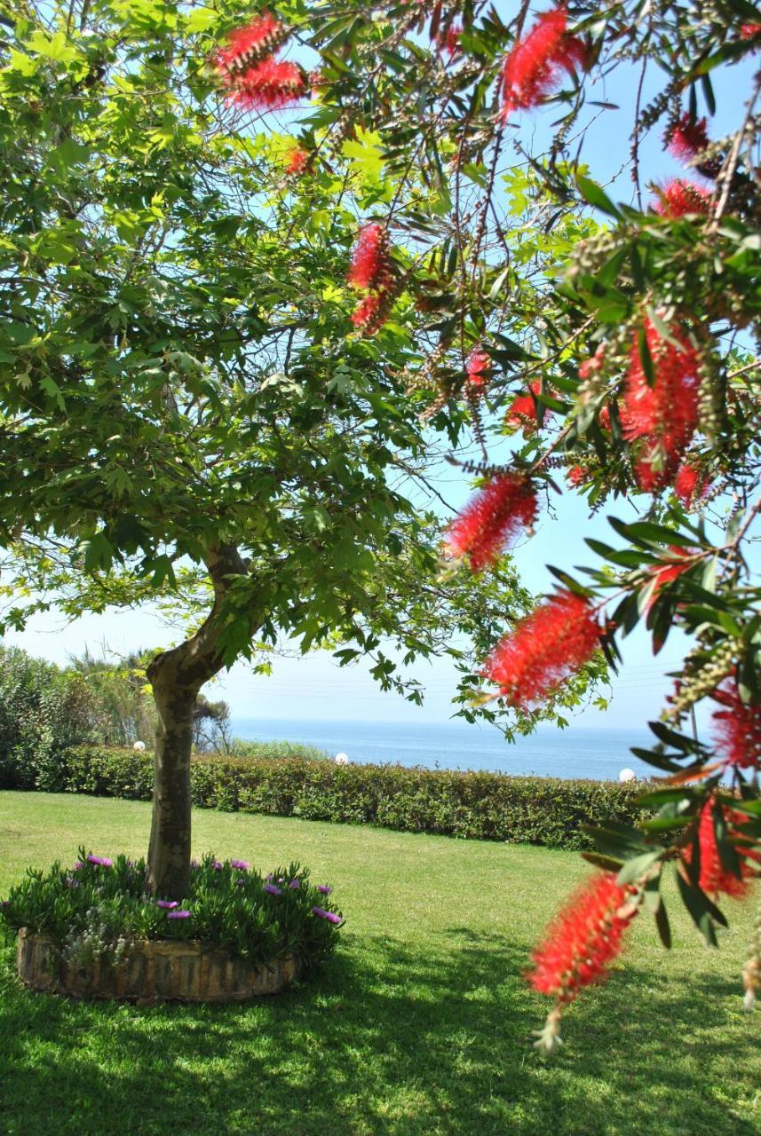 Iliovasilema Hotel Mytikas  Dış mekan fotoğraf